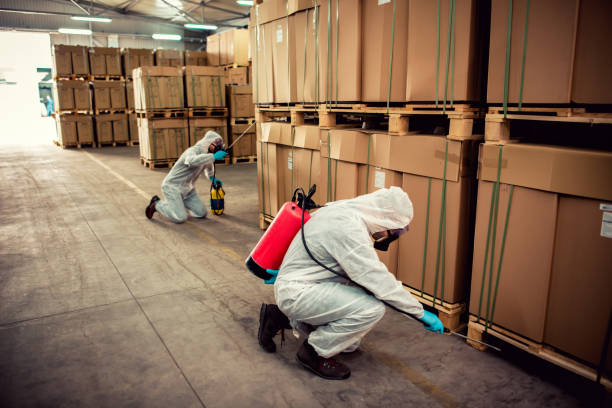 Best Mosquito Control Services  in Desnso, CA