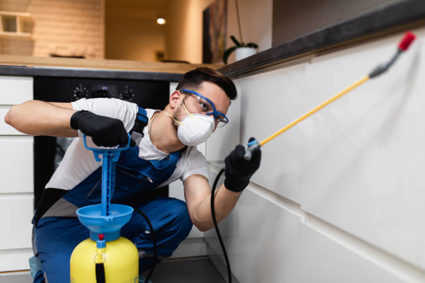 Best Pest Inspection Near Me  in Desnso, CA