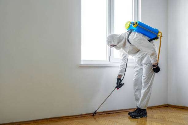 Best Bed Bug Extermination  in Desnso, CA