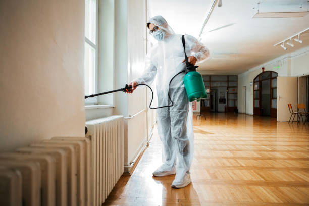 Best Pest Control Near Me  in Desnso, CA